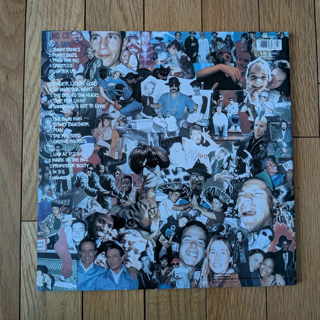 Beastie Boys Check Your Head 2LP US盤