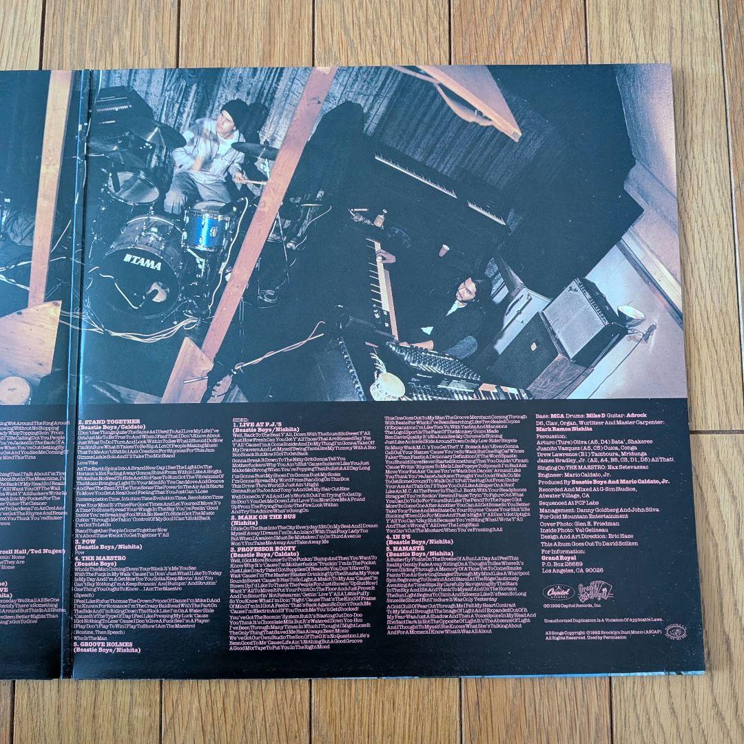 Beastie Boys Check Your Head 2LP US盤