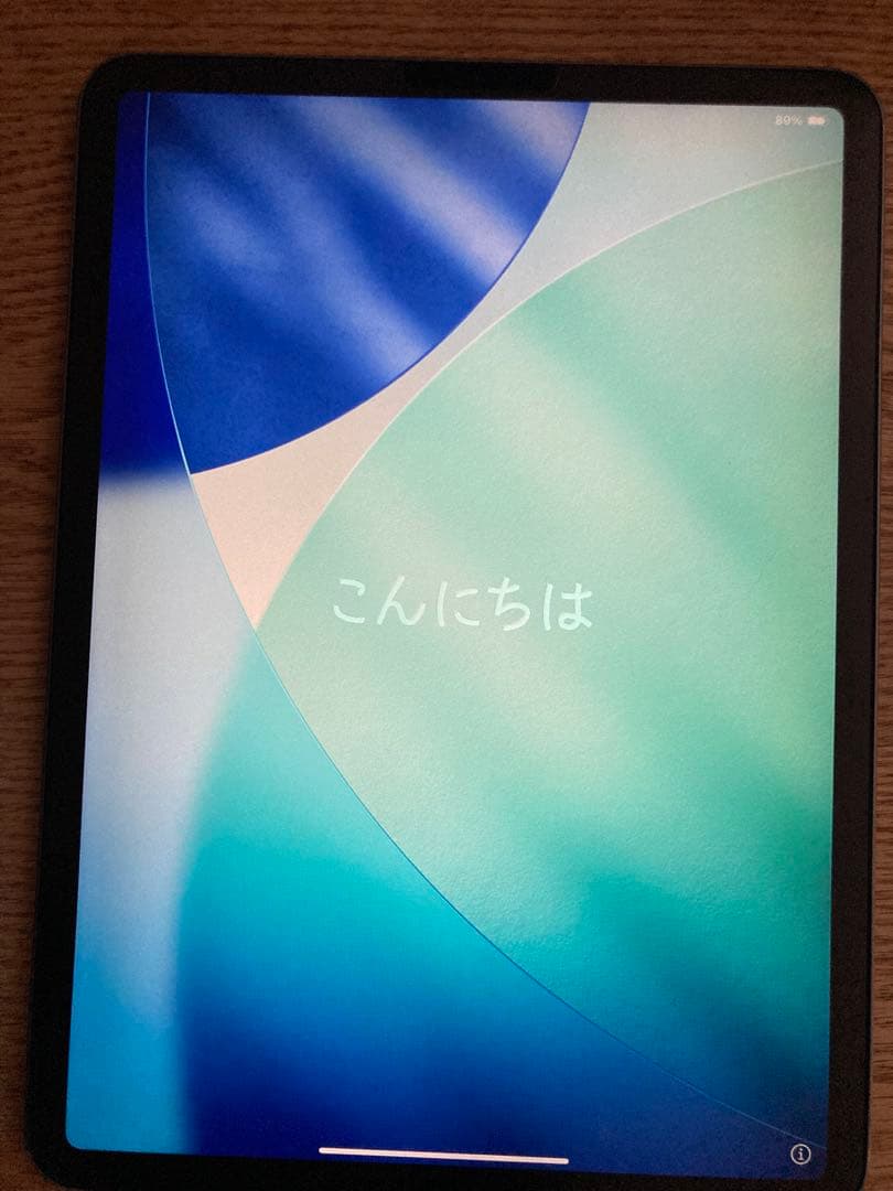 iPad Pro 11インチ (第2世代) 256GB