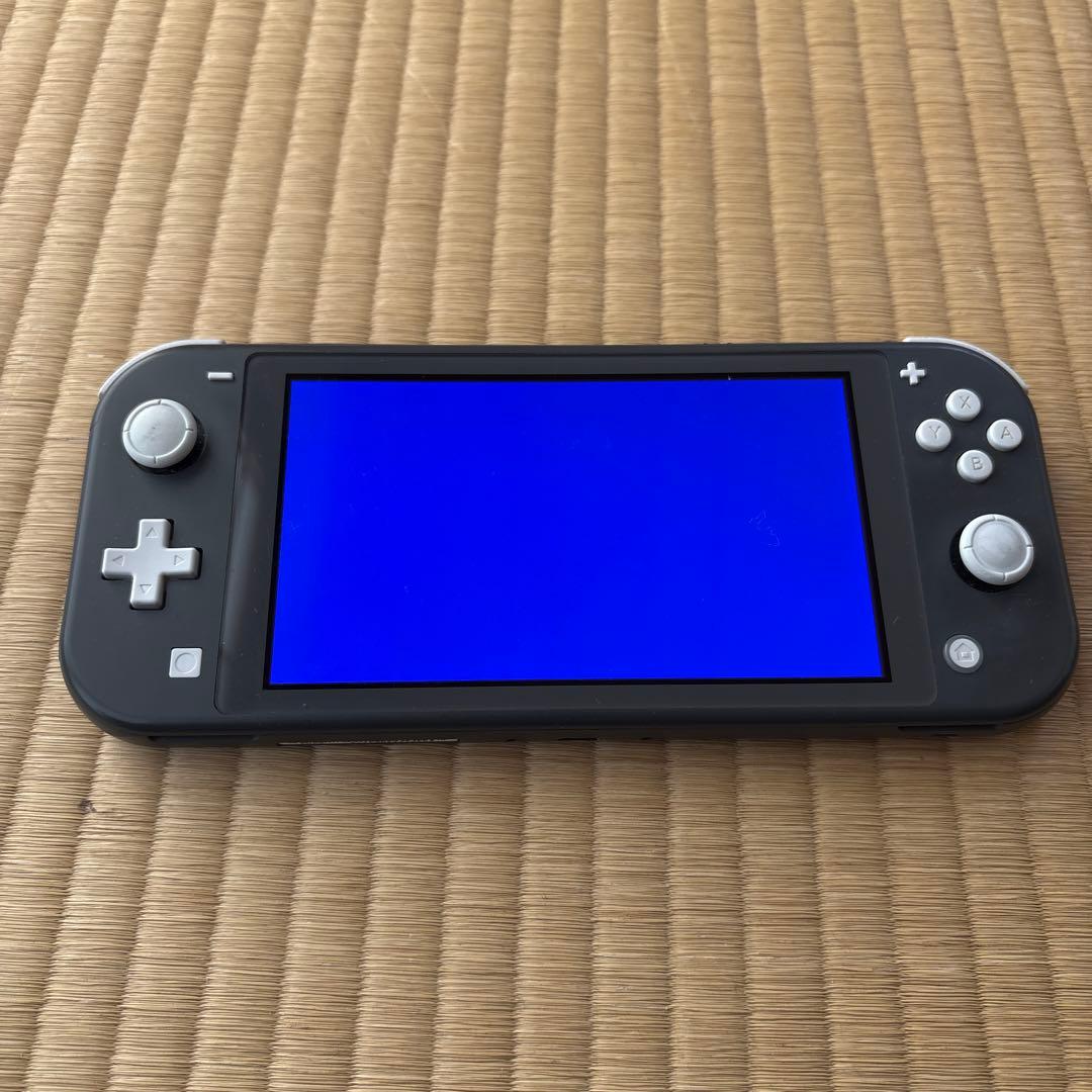 【ジャンク品】Nintendo Switch Lite グレー本体