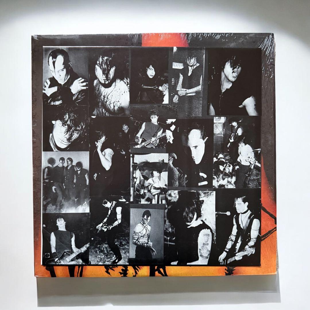 洋楽 Samhain -November-Coming-Fire (Plan 9)LP