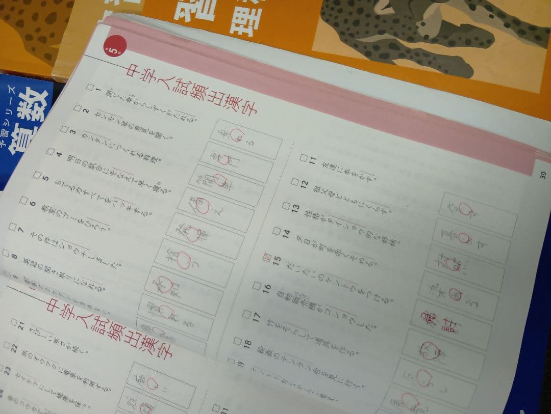 四谷大塚6年　予習シリーズ国算理社/漢字上　2024年使用版　中古