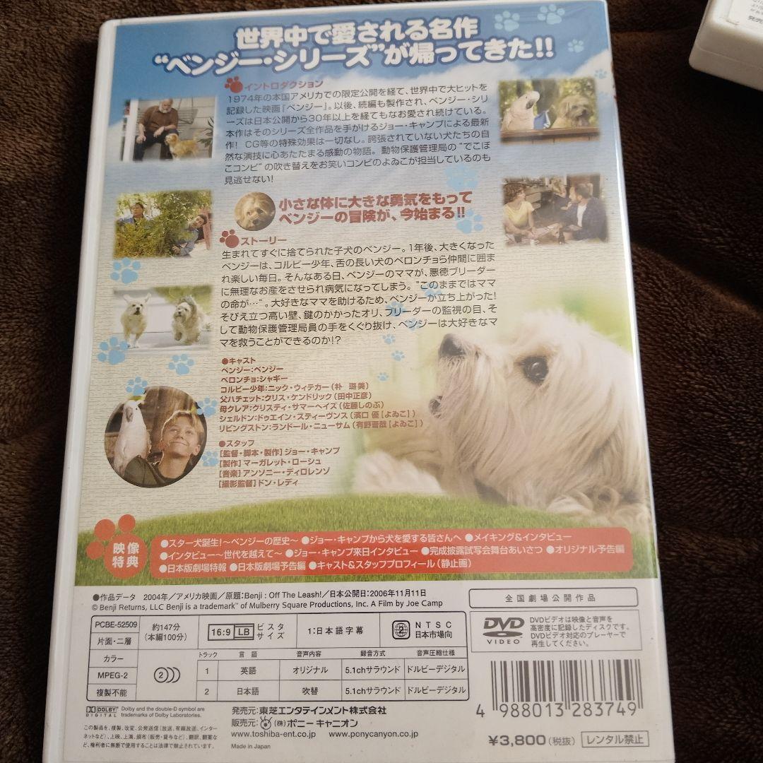 ベンジー　ラッシー　DVD