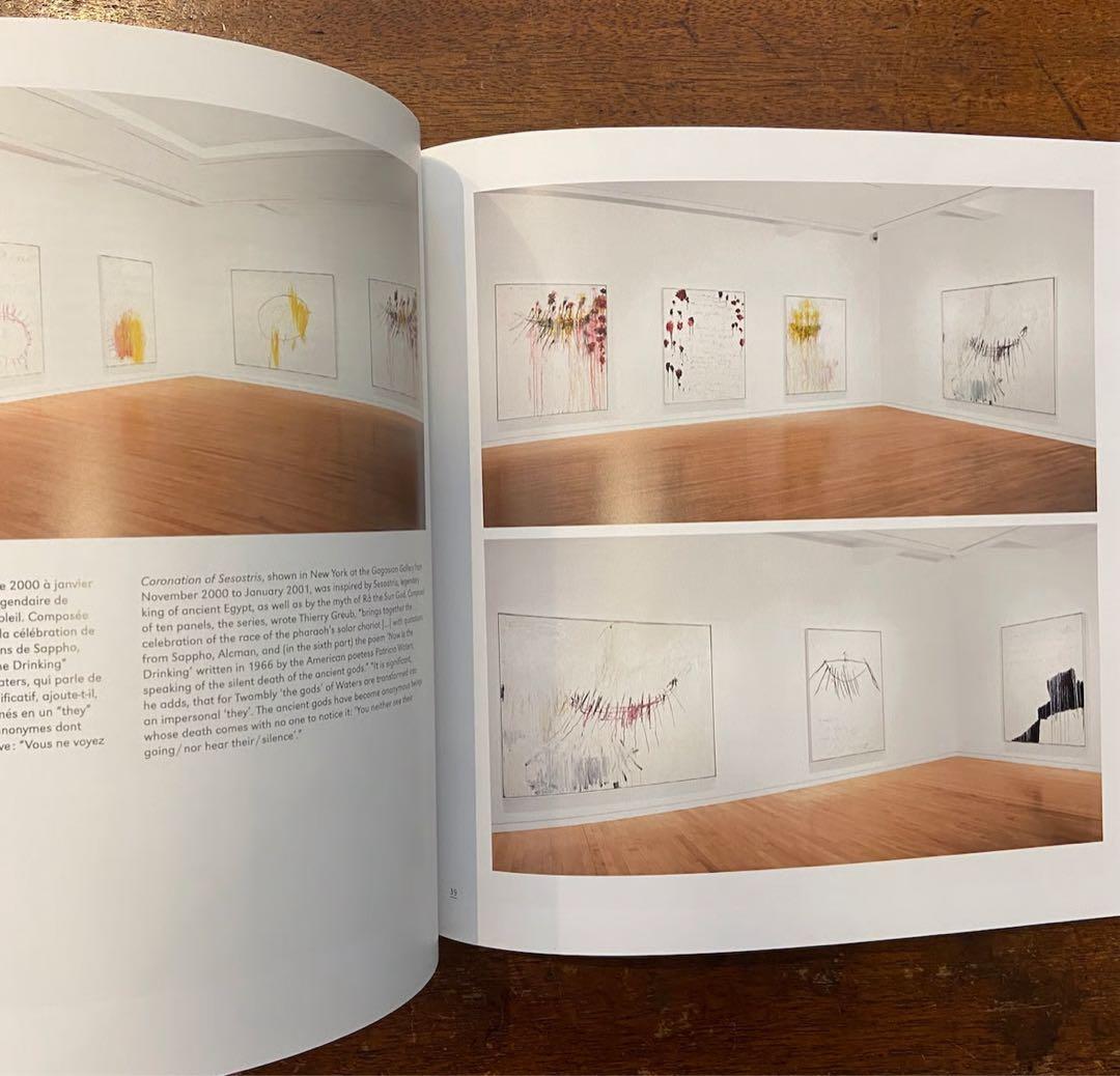 Cy Twombly 画集　サイ・トゥオンブリー