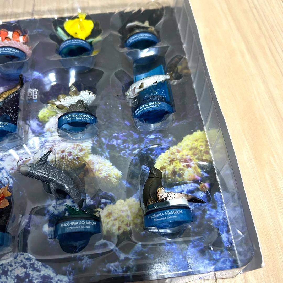 【希少・全18種】新江ノ島水族館 立体生物図録 コレクションボックス 海洋堂