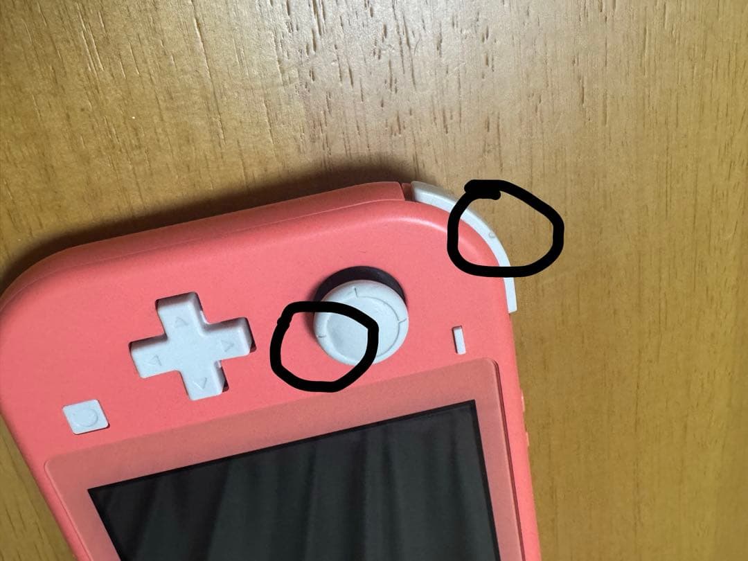 ず*餅様 Nintendo Switch Lite ピンク