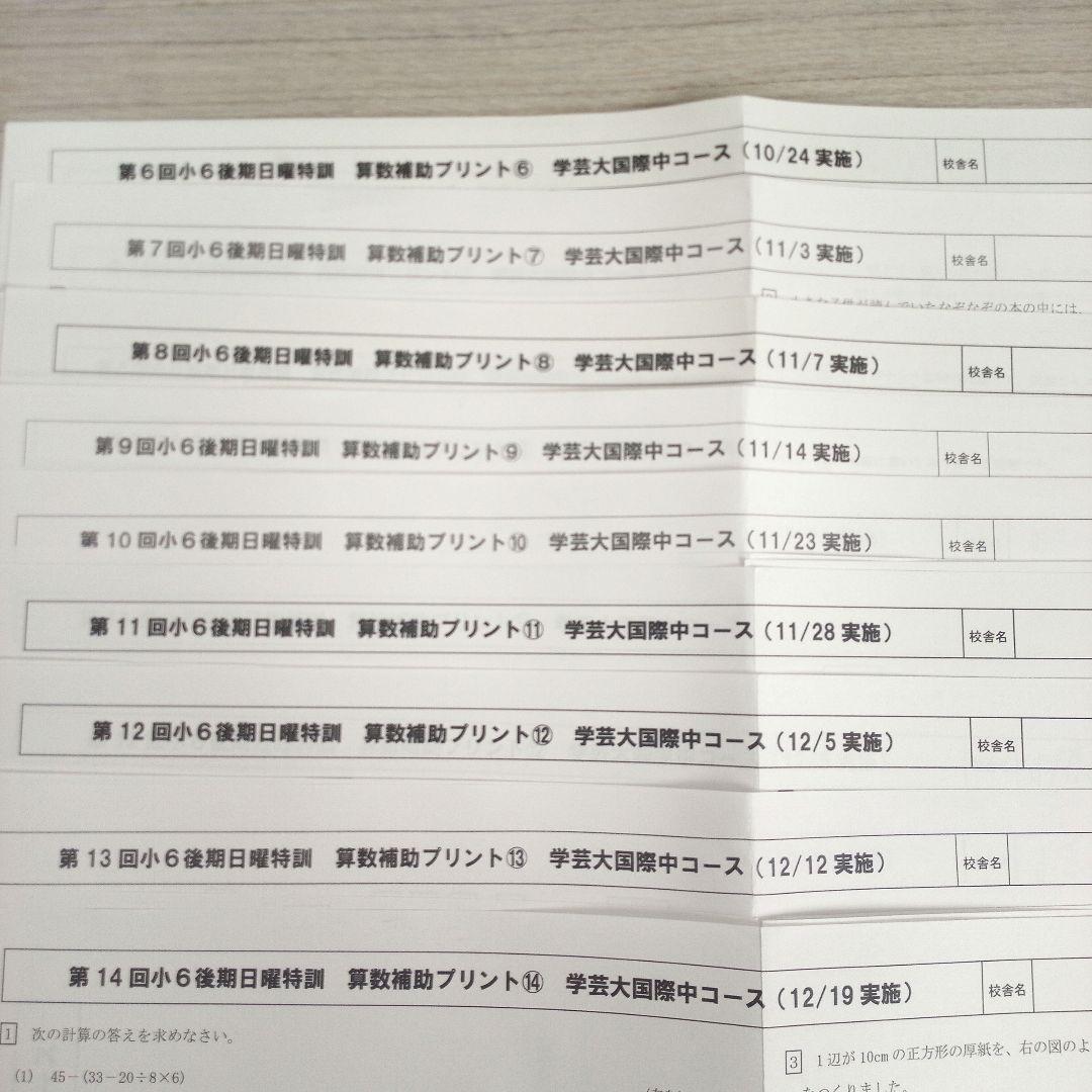 【適性検査対策】理系演習＋算数補助 ena後期日曜特訓  学芸大国際中コース