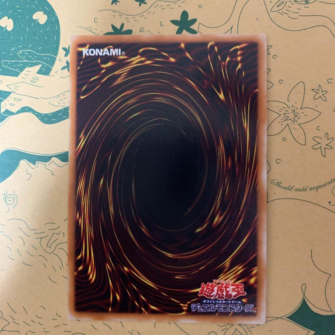 遊戯王 確認用