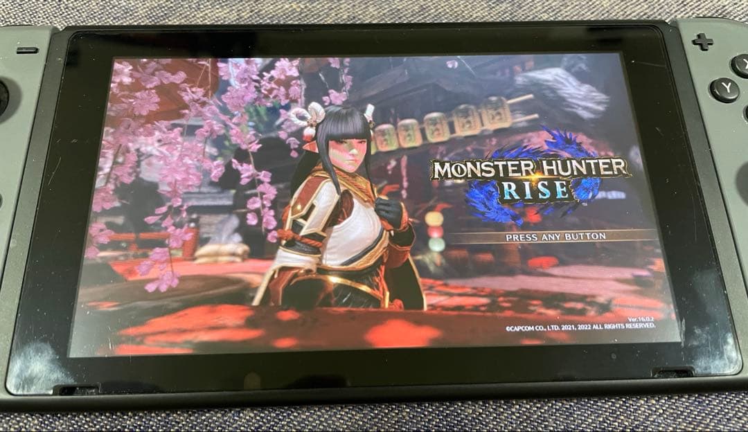 ニンテンドースイッチ ソフト5本セット HADES モンハン STRAYなど