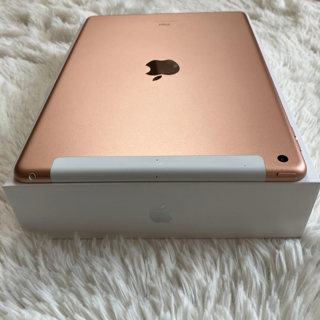 【即購入OK】iPad 第8世代 セルラーモデル【極美品】 #116 【付属品】