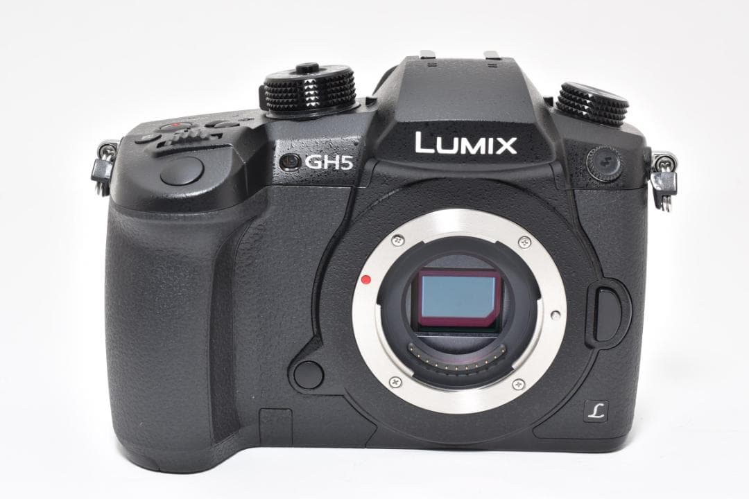 パナソニック Panasonic LUMIX RD-SPM049 (GH5)