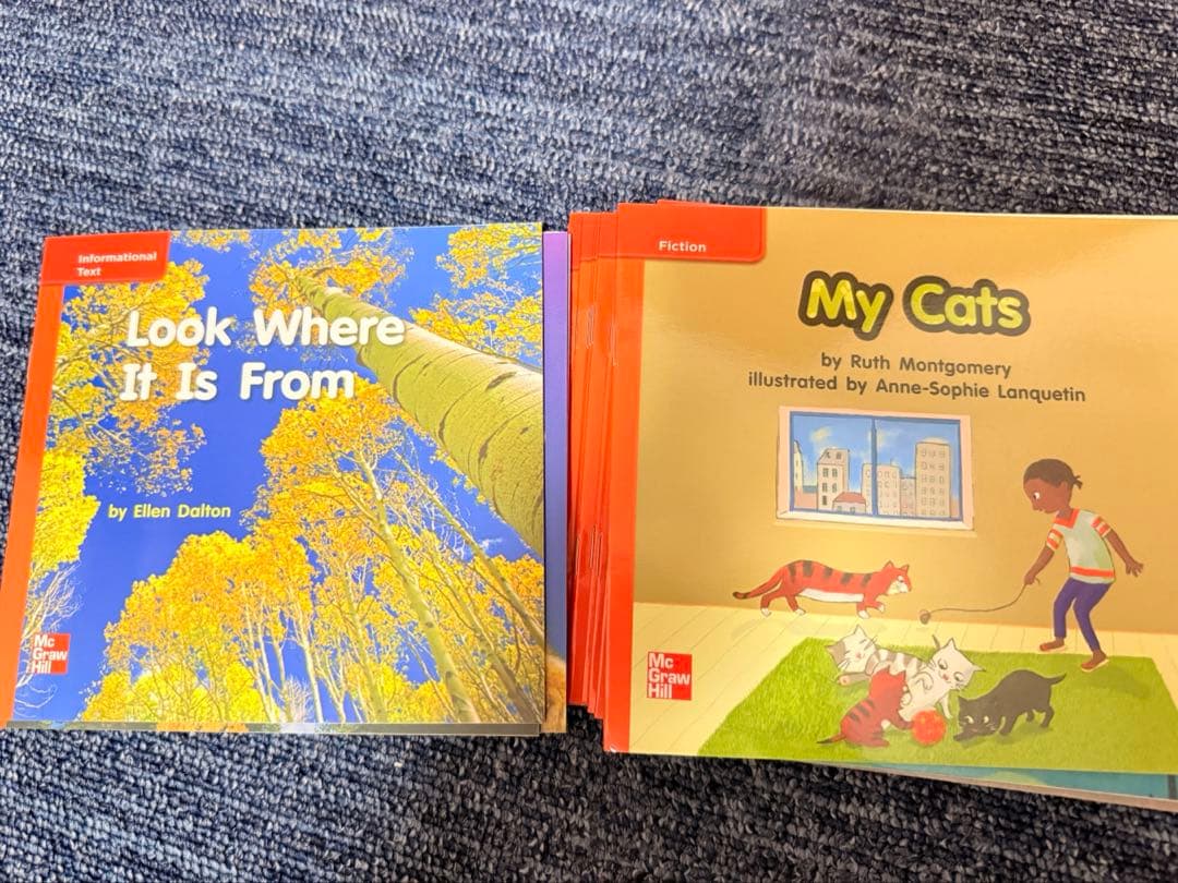 英語多読 Reading Wonders レベルリーダー まとめ売り 英語教材