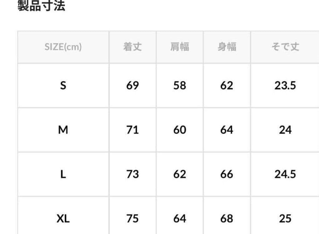 CAHLUMN ネイビー 半袖Tシャツ 2枚セット Lサイズ