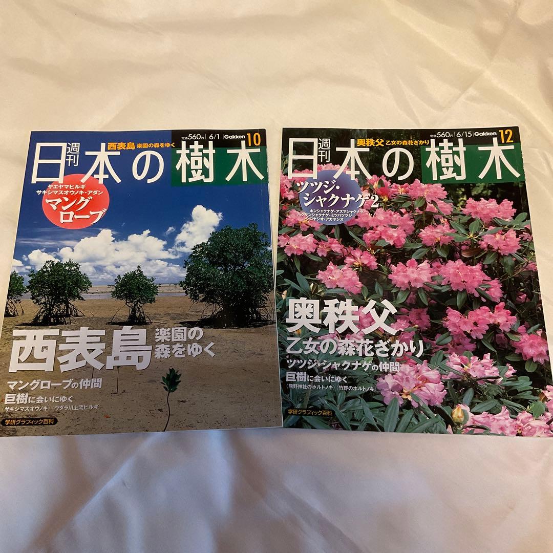 週刊 日本の樹木 25冊 学習研究社 （2004年発行）おまけ付き