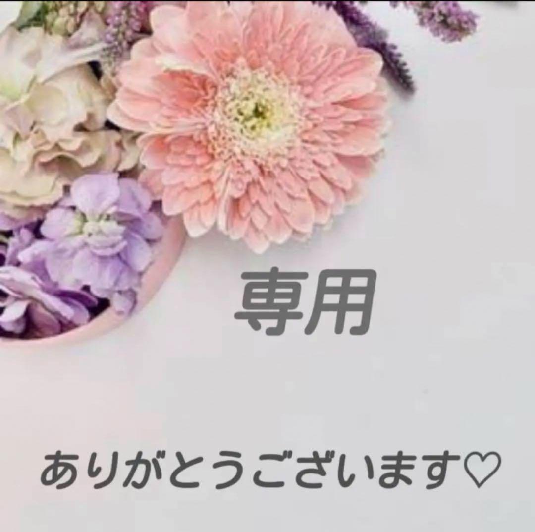 いちごみるく様 リクエスト 2点 まとめ商品