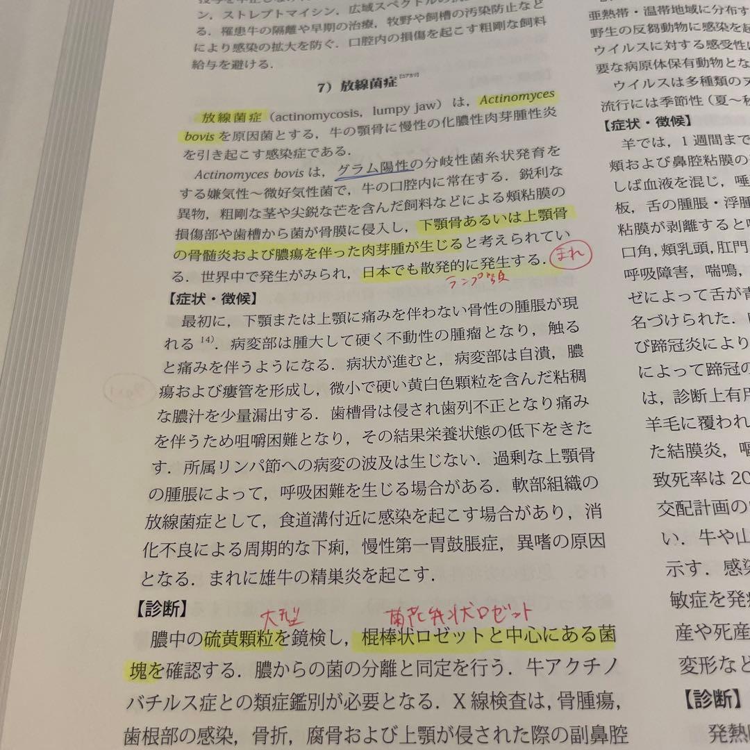 獣医内科学 第3版 伴侶動物編 産業動物編 2冊セット