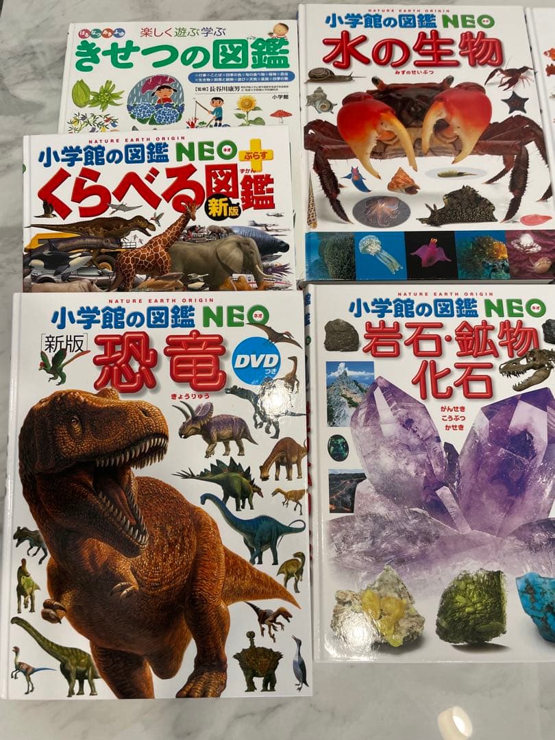 小学館　図鑑　9冊セット　DVD付