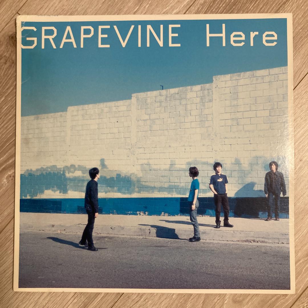 グレイプバイン GRAPEVINE Here レコード アナログ
