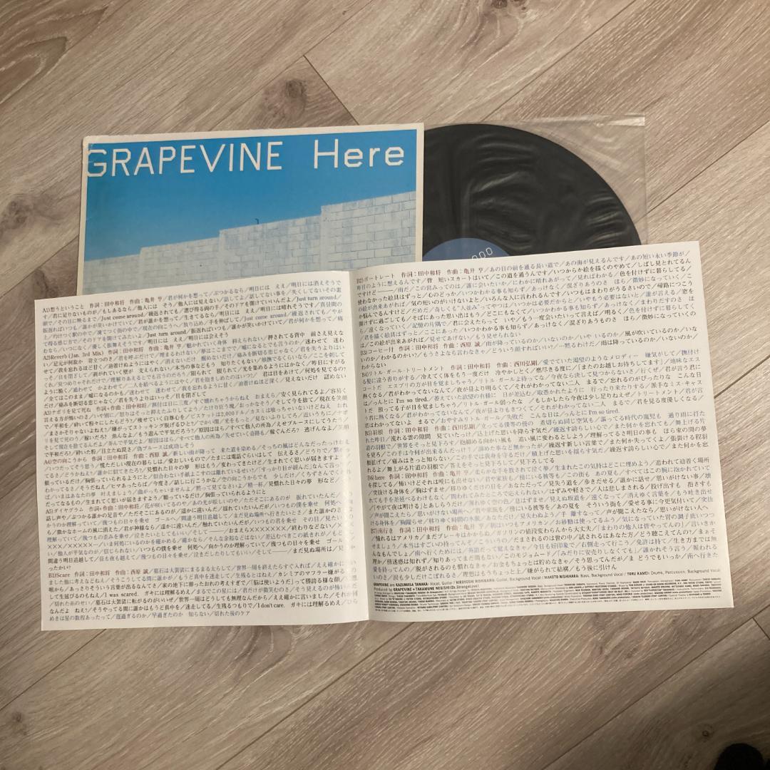 グレイプバイン GRAPEVINE Here レコード アナログ