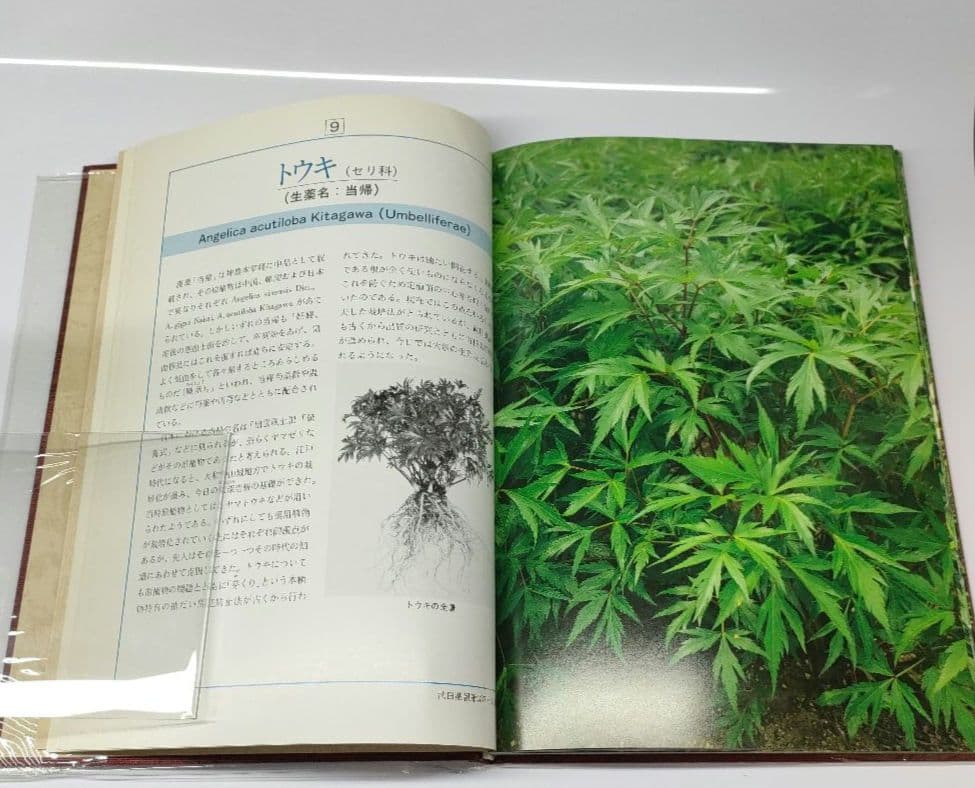 【非売品 第1版】 薬用植物 武田薬報400年記念号 武田薬品 ブックカバー付き