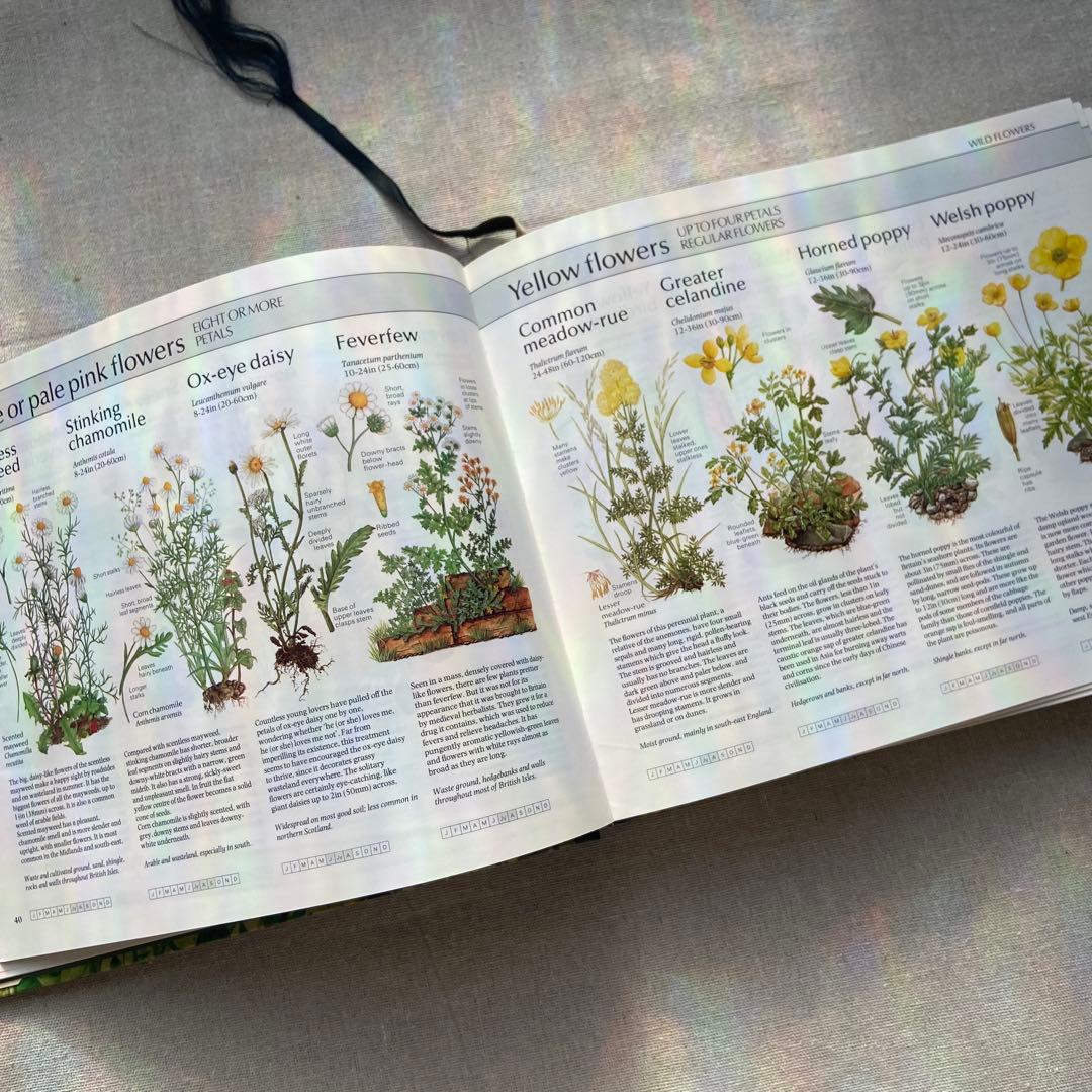 【ヴィンテージ洋書】植物図鑑　英語図鑑　アンティーク　古本　ジャンクジャーナル