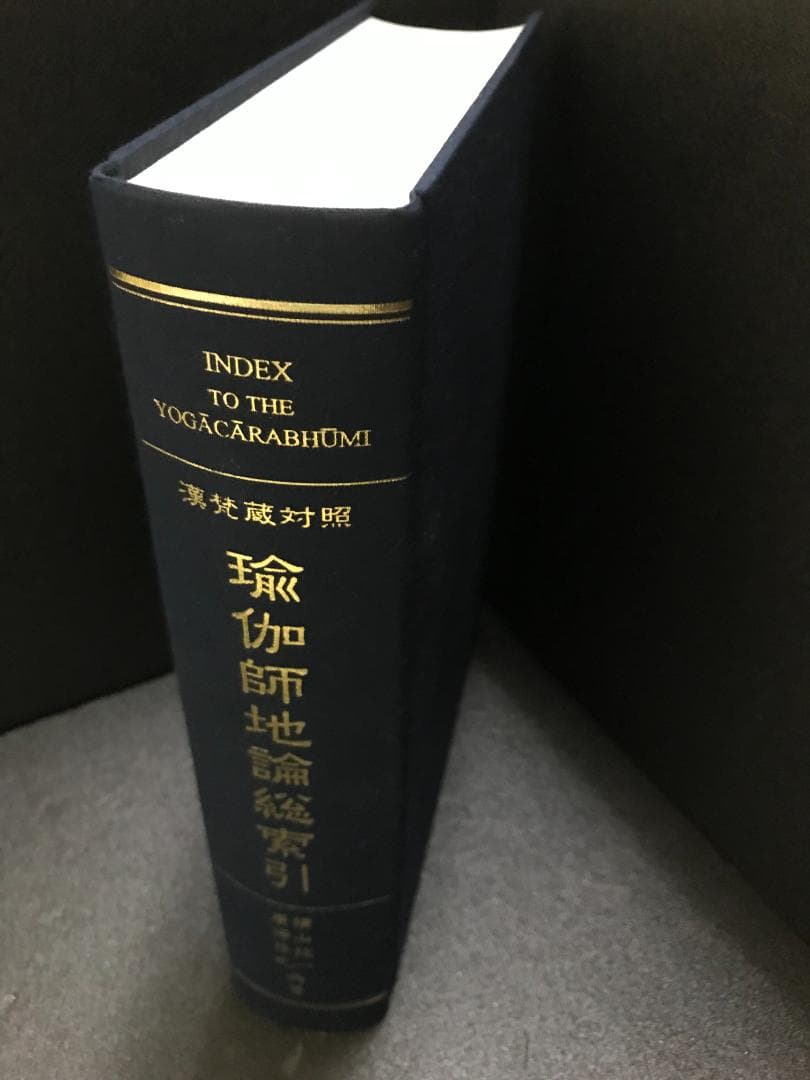 漢梵蔵対照 瑜伽師地論総索引