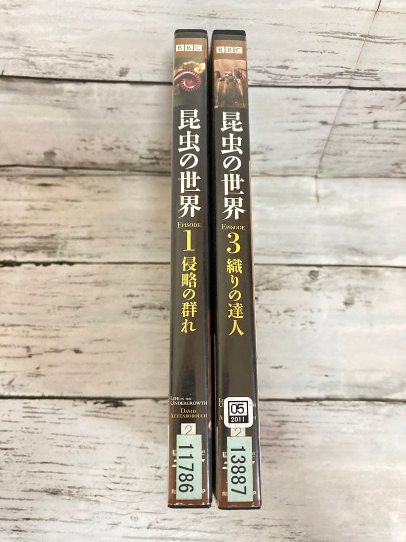 BBC 昆虫の世界　DVD 2枚セット　ライフインザアンダーグラウス