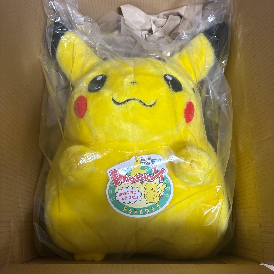 K*e様 ポケモン30周年記念おかえり!ピカチュウ1/1