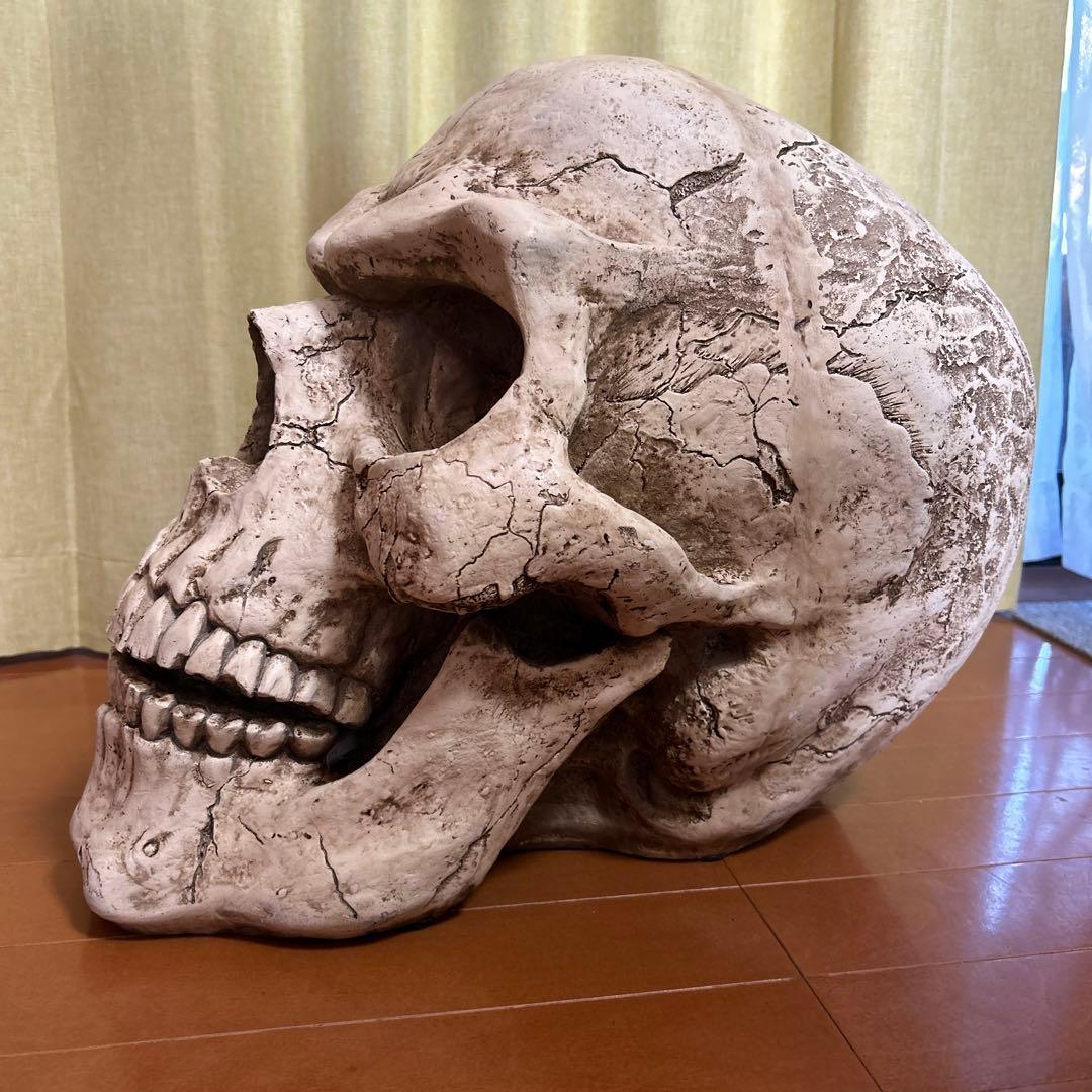 超大サイズスカル頭蓋骨　ドクロ パーティー景品ハロウィンー飾り物　置物