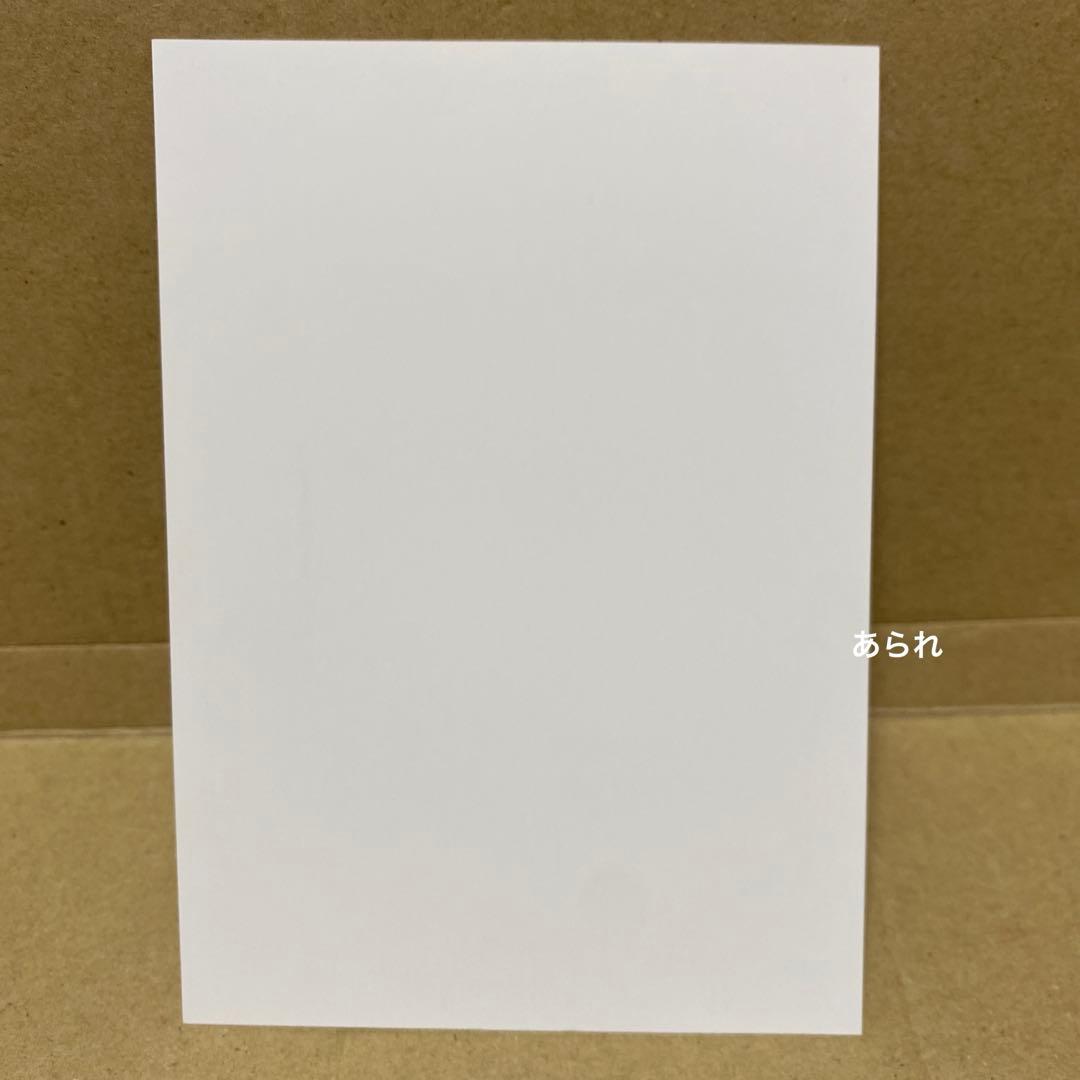 薬屋のひとりごと 小説 特典　イラストカード　1枚　美品　希少品　猫猫　壬氏