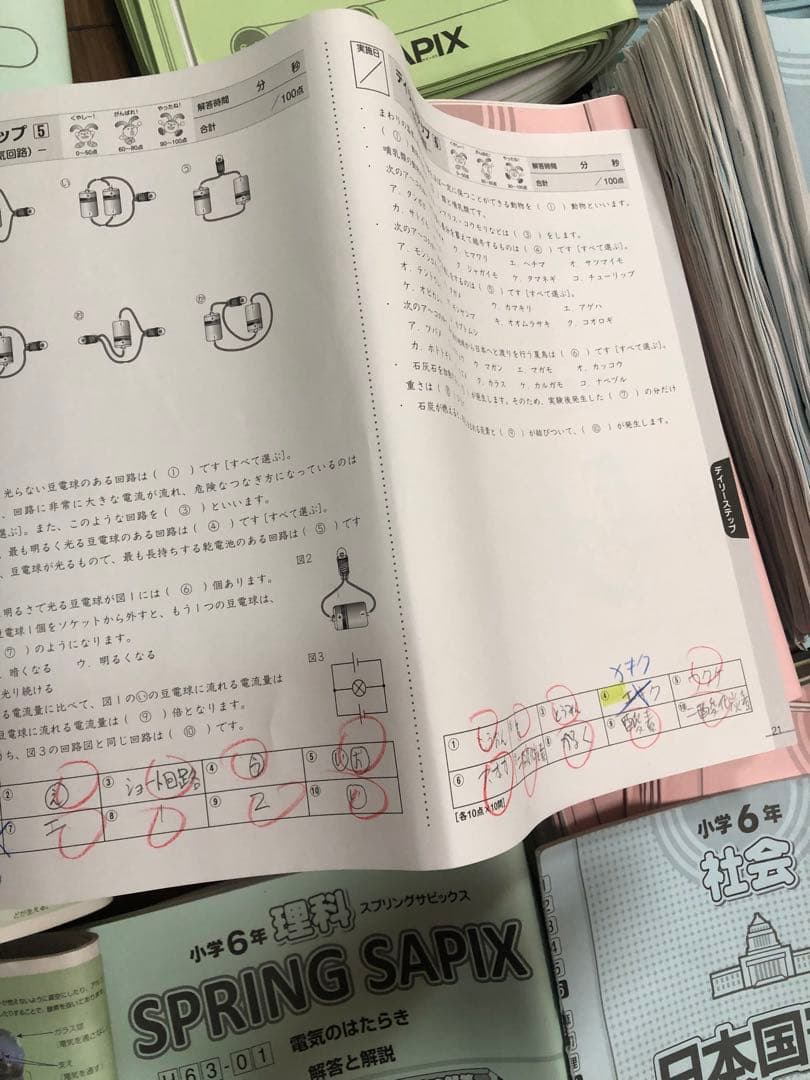 まゆ　SAPIX 2025年度　6年生　1年間分（1/3）