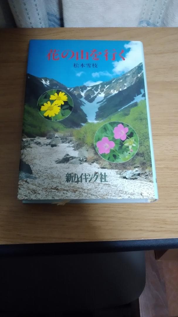 期間限定お値下げ！早い者勝ち！　新ハイキング社　１３冊セット