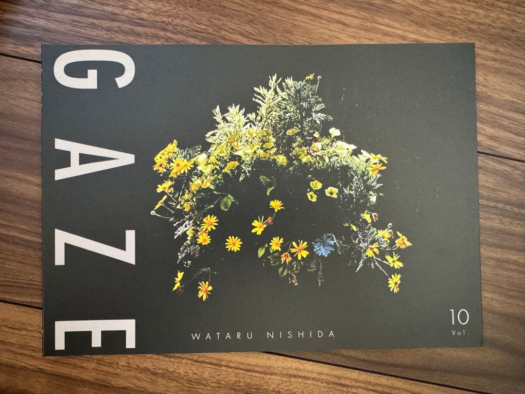 西田航 写真集 GAZE vol.1〜13 + 他4冊　バラ売可