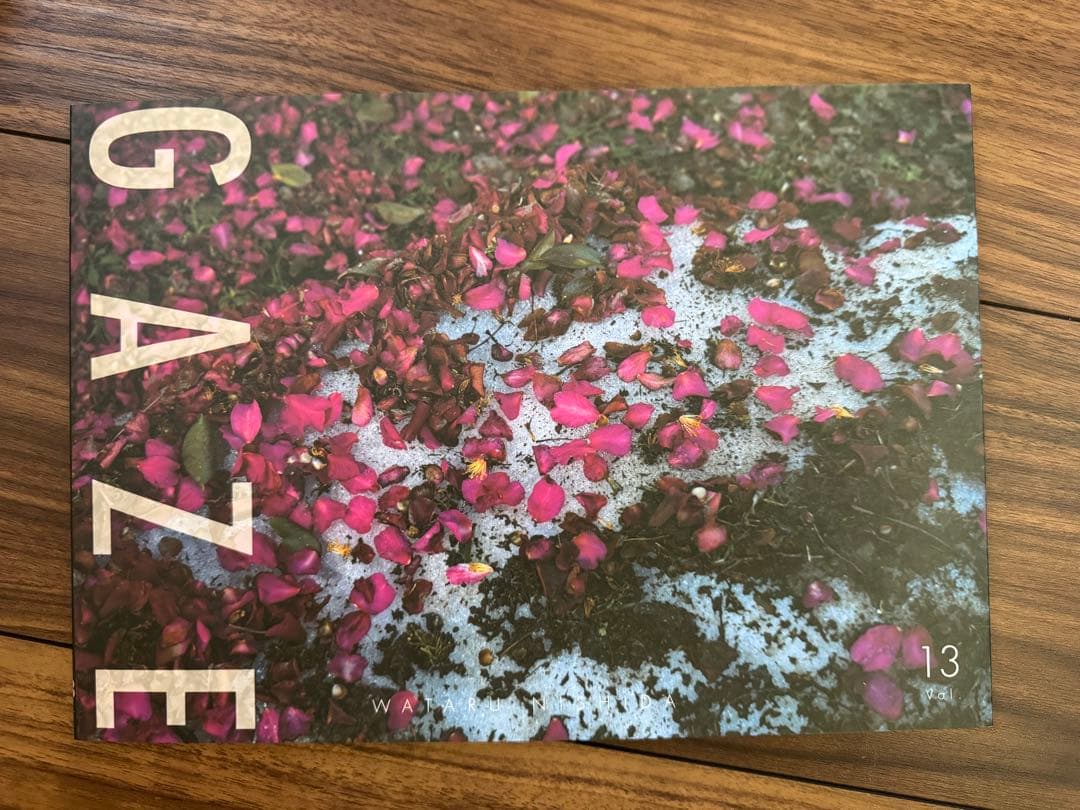 西田航 写真集 GAZE vol.1〜13 + 他4冊　バラ売可