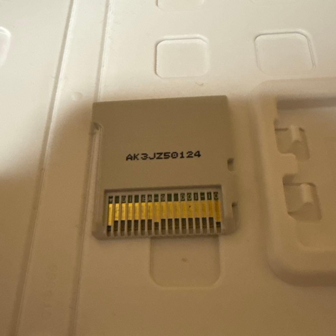 セガ 3D復刻アーカイブス2 カセット