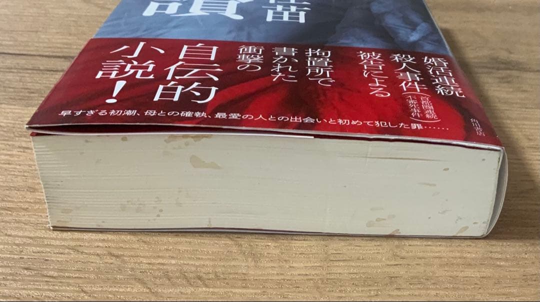 木嶋佳苗 礼讃 自伝的小説