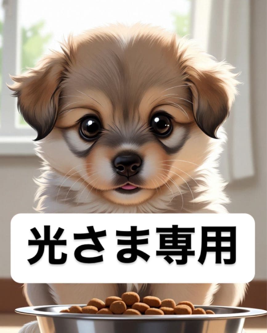 光さま専用