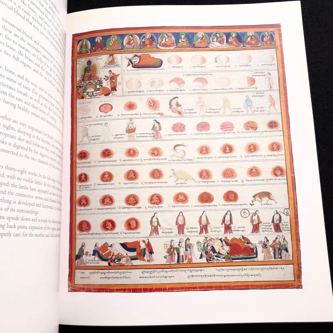 チベット医学 曼荼羅画集 The Buddha's Art of Healing