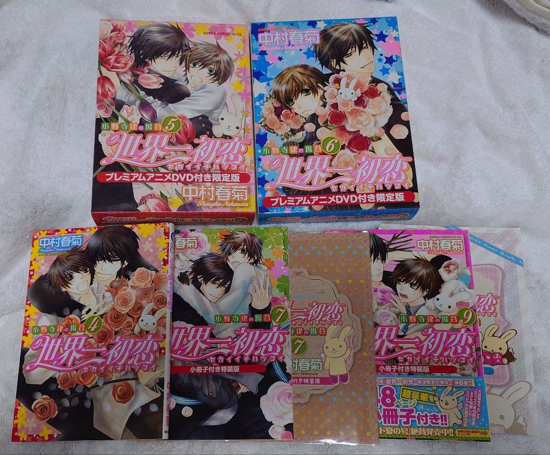 世界一初恋 DVD CD 冊子 グッズ 色々