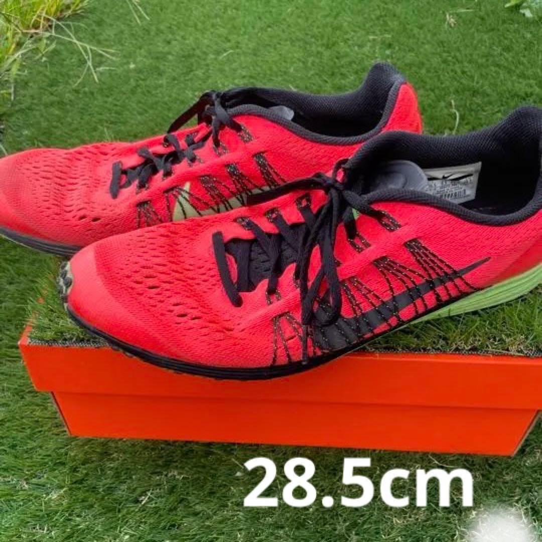 NIKE LUNARSPIDER ルナスパイダー 28.5 薄底　廃盤