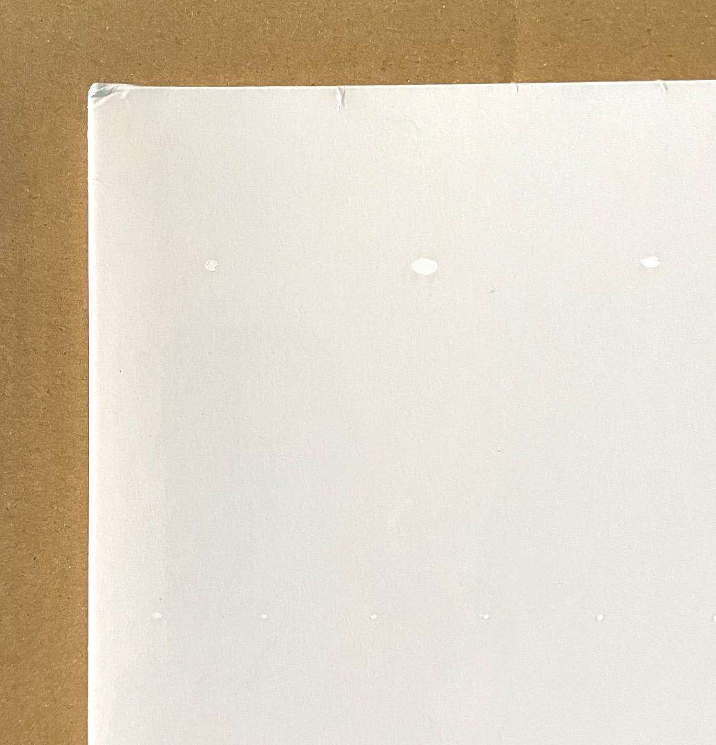 Vulfpeckファミリー Nate Smith Live Action 新品