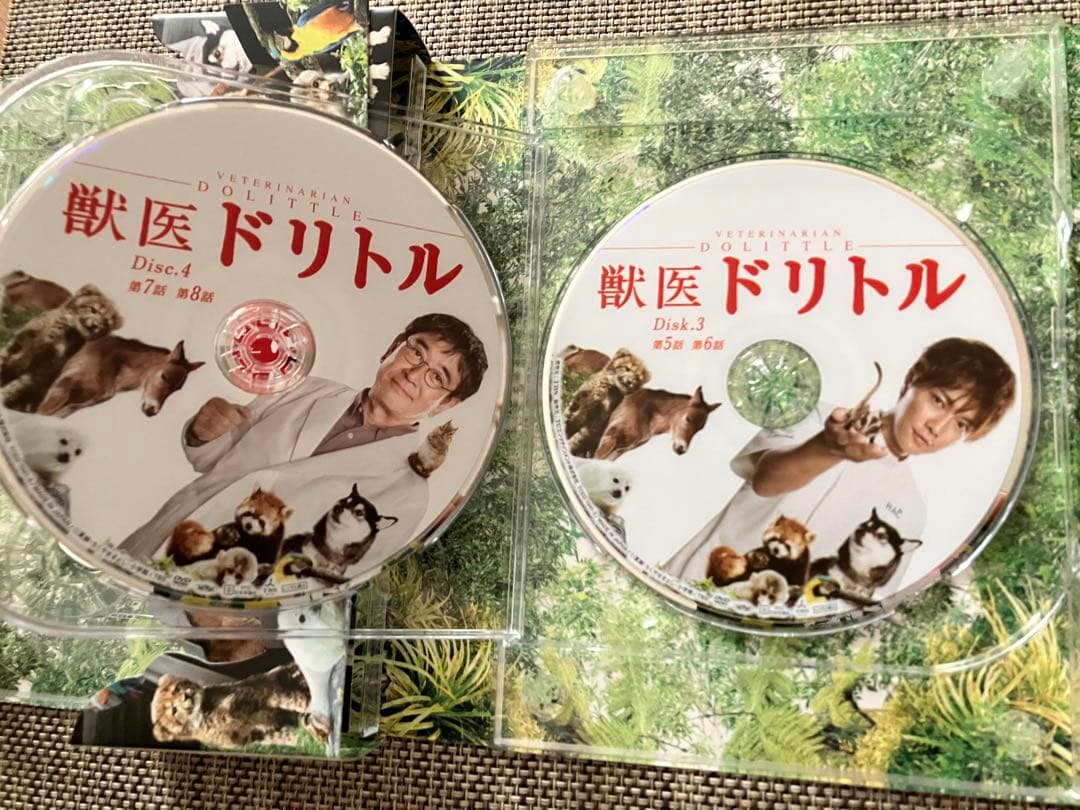 獣医ドリトル ＤＶＤ-ＢＯＸ6枚組 [DVD] 井上真央 小栗旬