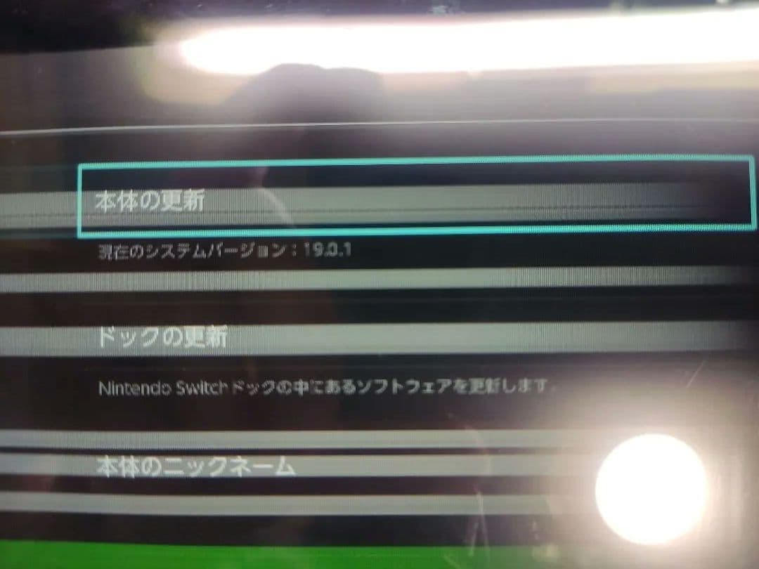 Nintendo Switch 本体のみ 2020年 画面不良 ジャンク