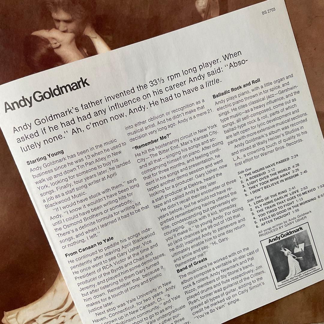 洋楽 ANDY GOLDMARK