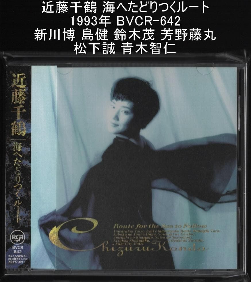 近藤千鶴 海へたどりつくルート 1993年BVCR-642 新川博 島健 鈴木茂