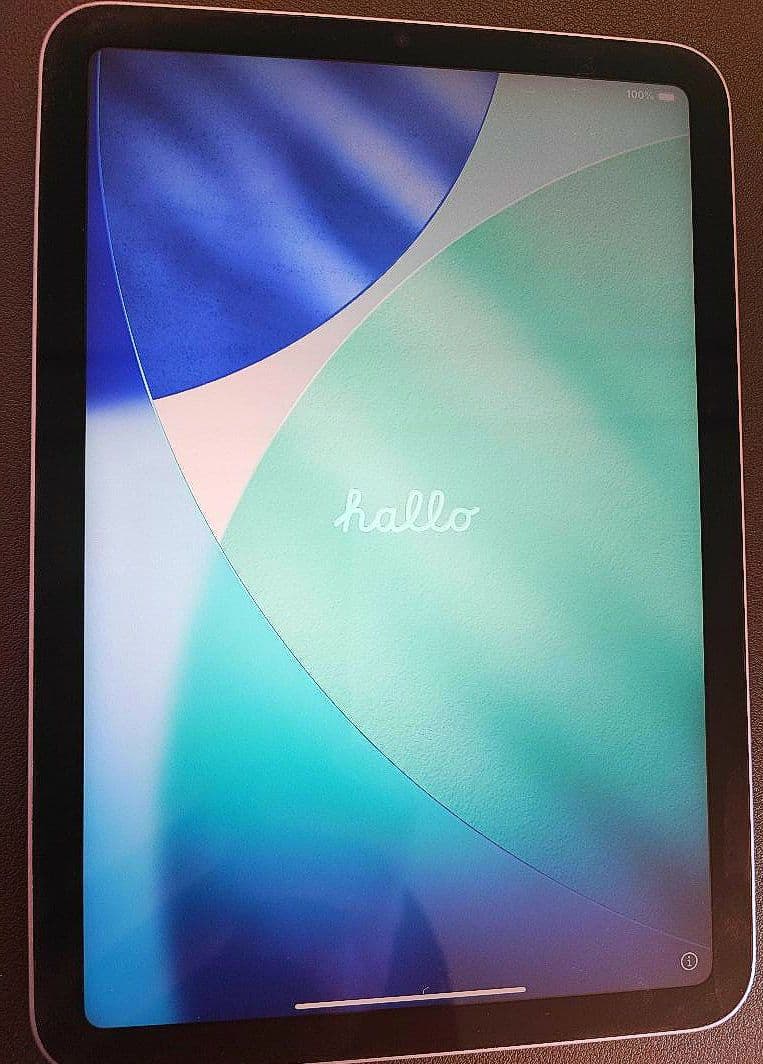 Apple iPad mini 64G パープル 本体のみ