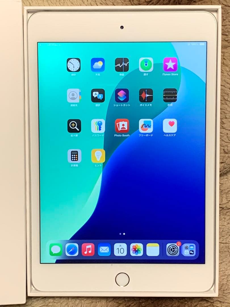 iPad Mini 第5世代 WiFi 256G カバー付　通電済み動作確認済み