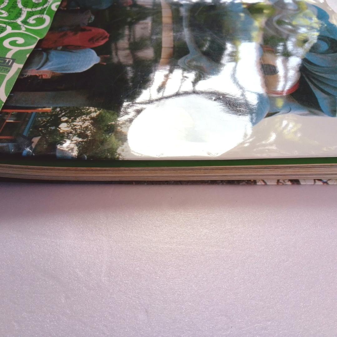 たま 写真集 きゃべつ