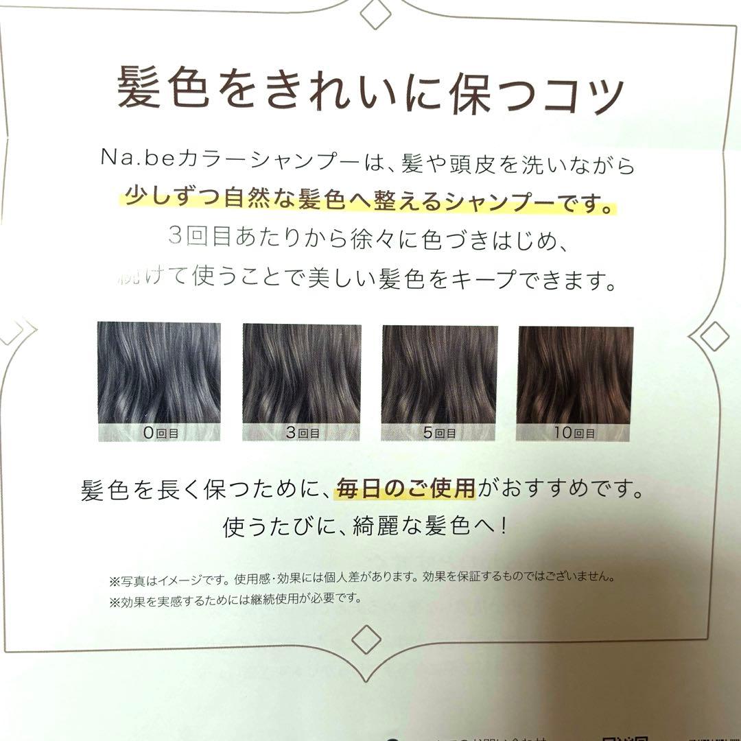 Na.be (ナイブ)白髪染めシャンプー 詰め替え用 2個セット　モカブラウン