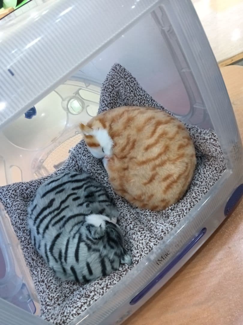 初代iMac 猫ハウス　リメイク商品